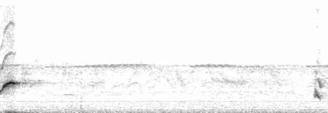 Moqueur des savanes (groupe gilvus) - ML70193