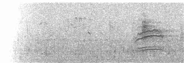 Münzevi Bülbül Ardıcı - ML70204831