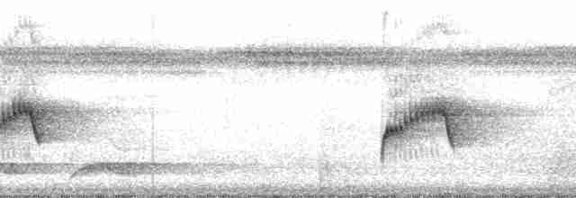 Grauschneidervogel - ML70218