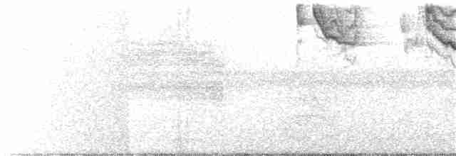 White-naped Brushfinch - ML70386891