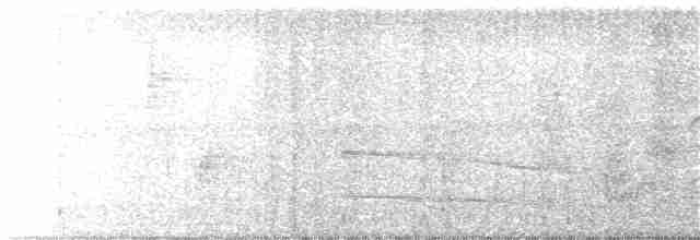 Chara de Steller (grupo coronata) - ML70387361