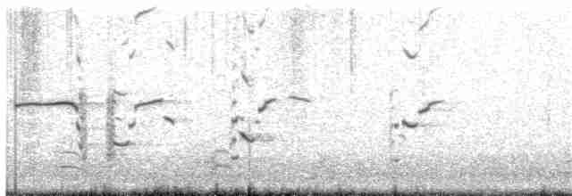 Делавэрская чайка - ML70405671