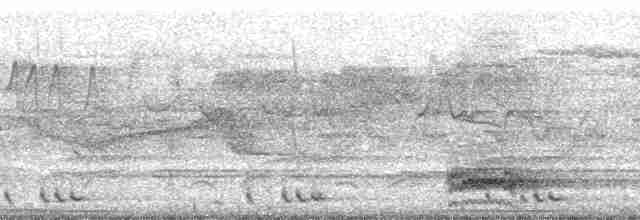 Бронзовохвостый павлиний фазан - ML70454