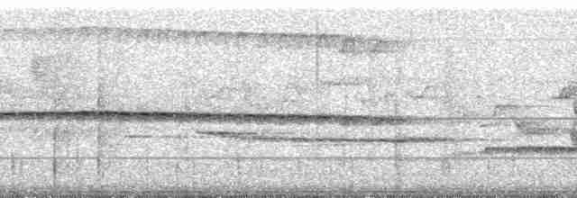 Gray-throated Babbler - ML70474