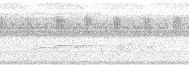 Spot-necked Babbler - ML70516
