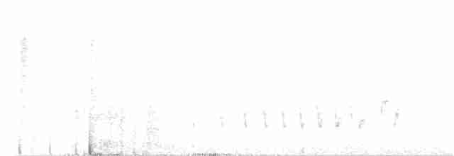 Buff-collared Nightjar - ML70597561
