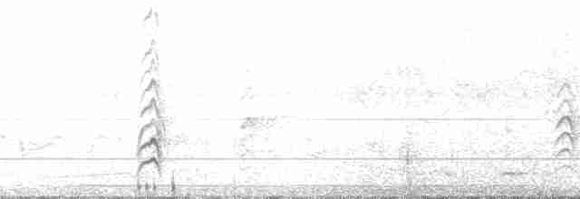 白胸燕鵙 - ML70611