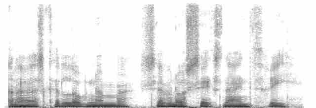  - Trilling Shrike-Babbler