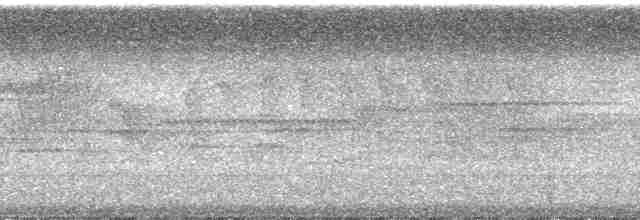 Turuncu Alınlı Barbet - ML70694
