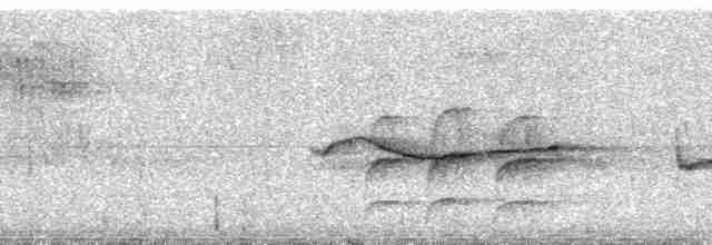 Saman Gerdanlı Dağ Tangarası (taeniata) - ML70753