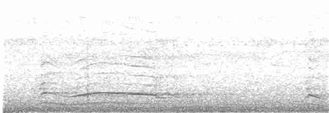 Орлан-рибалка малий - ML70780071