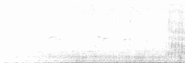 Géositte mineuse (groupe cunicularia) - ML70787291