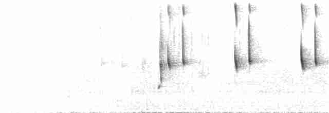 Beyaz Gerdanlı Dalkoşarı - ML70878121