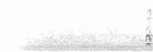 Кактусовый дятел - ML70881821