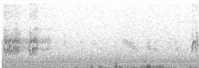 Sinsonte Norteño - ML71030231