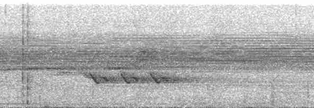 Тиран-інка буроголовий - ML71053