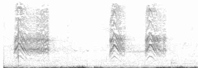 Кратеропа рябогруда - ML71054391