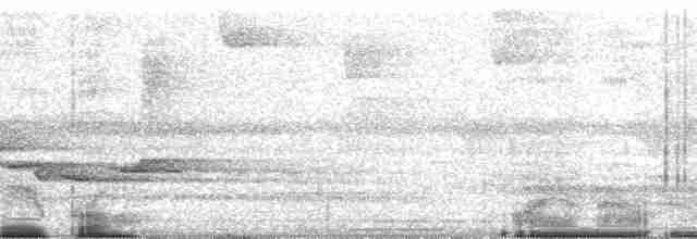 Каатинга плямистокрила - ML71062