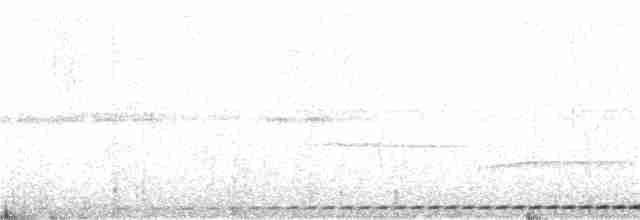Kehlband-Ameisenpitta - ML71081111