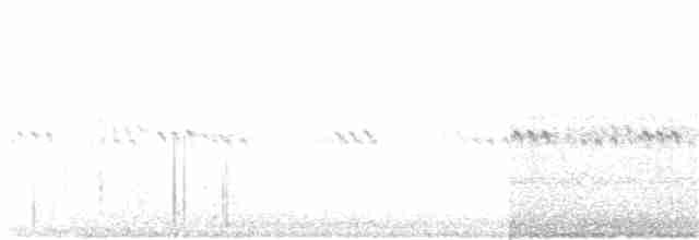 White-eyed Vireo - ML71099241