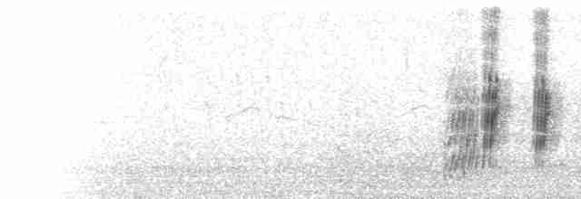 キタオビナシショウドウツバメ - ML71161581