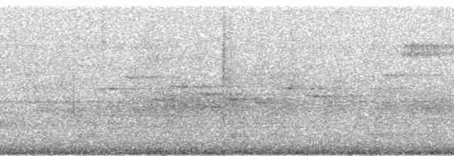 Кораловоклювая воронья кукушка - ML71198