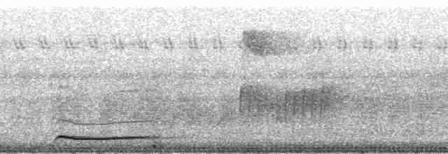Кораловоклювая воронья кукушка - ML71217