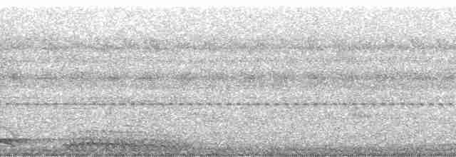 Кораловоклювая воронья кукушка - ML71220