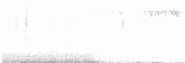 Orite buissonnière (groupe minimus) - ML71257551