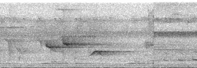 Turuncu Göğüslü Trogon - ML71289