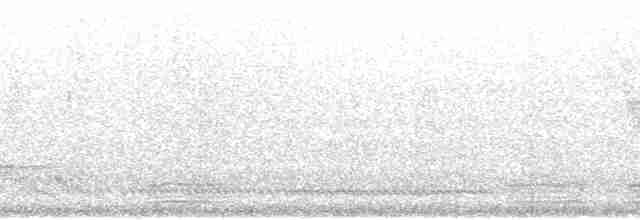 hvithodelattertrost - ML71458