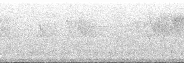 Uzun Kuyruklu Genişgaga - ML71481