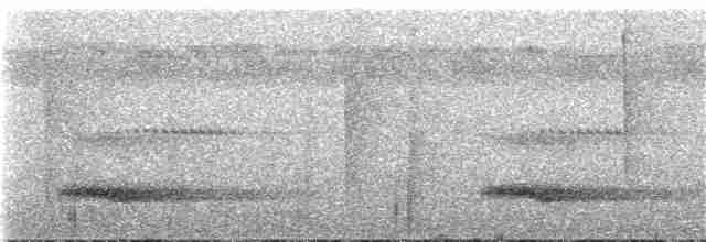 Channel-billed Toucan - ML71506721