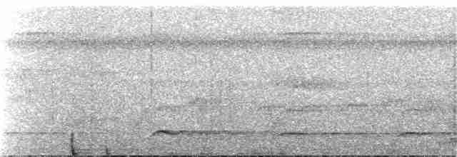 White-throated Toucan - ML71506801