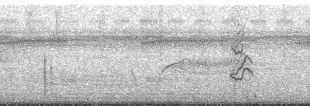 Kestane Karınlı Tohumcul - ML71533