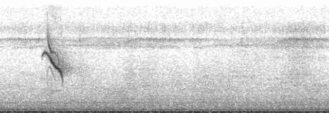 Kestane Karınlı Tohumcul - ML71535