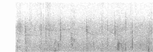 gråhodeandesspurv (minor) - ML71558461