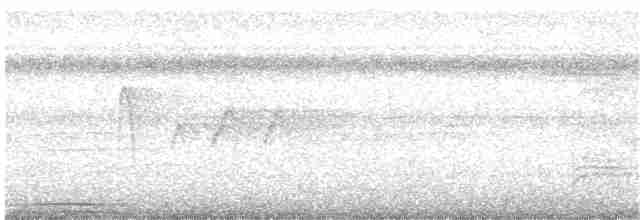 Сероголовая голубка - ML71570301