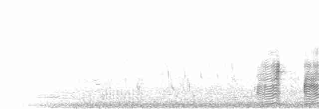 Ibis à face blanche - ML71575001