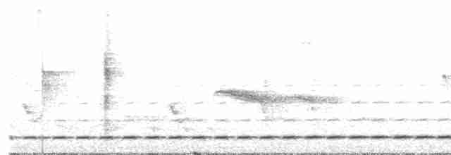 Short-tailed Antthrush - ML71631681