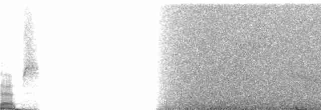 Gray Whistler (Gray-headed) - ML71636