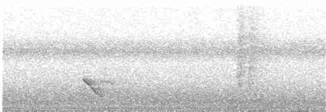 Тремблер прямодзьобий - ML71721021