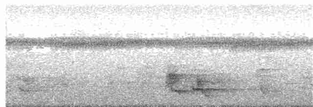 Mielero Carunculado de Viti Levu - ML71791331