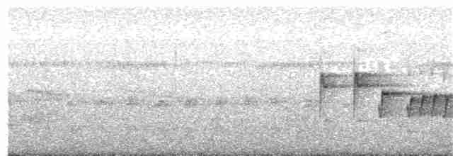 Pazifikscharlachschnäpper - ML71791561