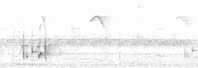 Gri Göğüslü Çıtkuşu - ML71863