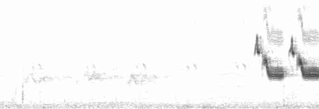 Скальный крапивник [группа obsoletus] - ML71889