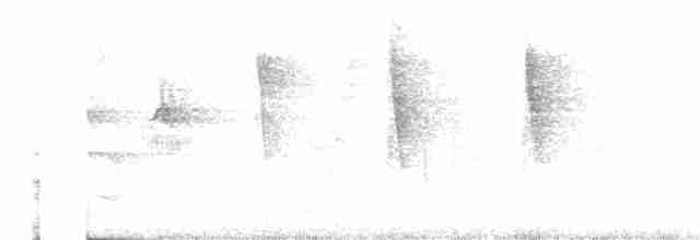 Чешуйчатогрудый саблекрыл - ML71928161