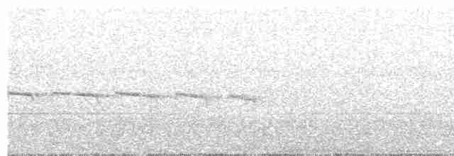 Kuzeyli Bıyıksız Tiranulet - ML71963951