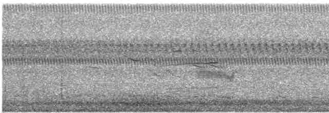 Loggerhead Shrike - ML72101391