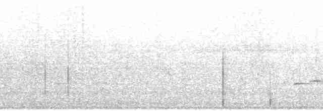 Маврикийский личинкоед-свистун - ML72259